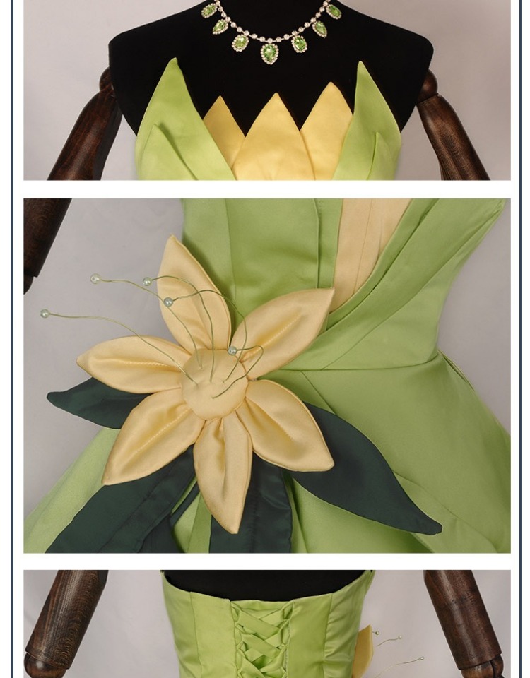 Princess Tiana Dress Cosplay C - Tech Accessories For Women 리뷰 및 가격