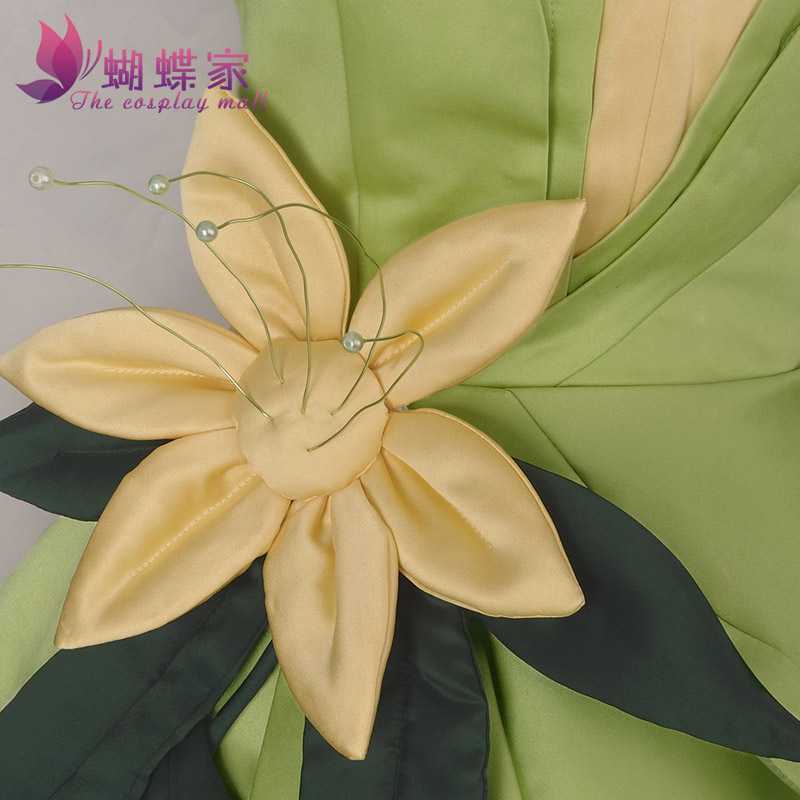 Princess Tiana Dress Cosplay C - Tech Accessories For Women 리뷰 및 가격